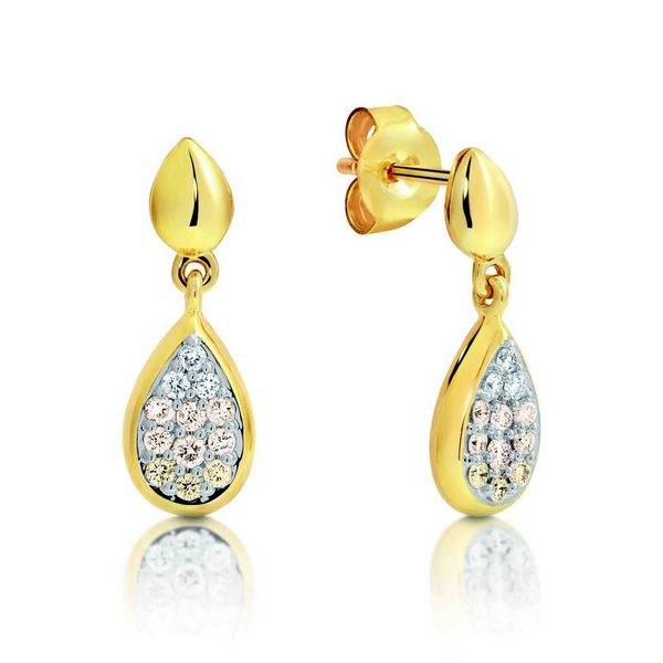 9ct yellow gold Dreamtime Diamond Earrings - WINNIE